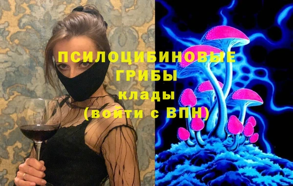 ПСИЛОЦИБИНОВЫЕ ГРИБЫ Бугульма