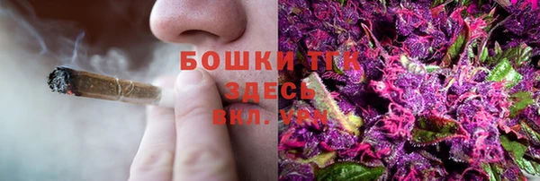 ПСИЛОЦИБИНОВЫЕ ГРИБЫ Бугульма