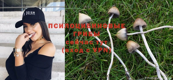 ПСИЛОЦИБИНОВЫЕ ГРИБЫ Бугульма