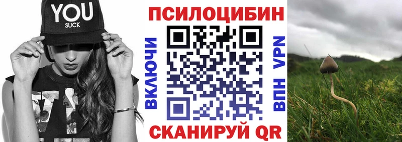 купить закладку это Telegram Псилоцибиновые грибы Psilocybe Уссурийск